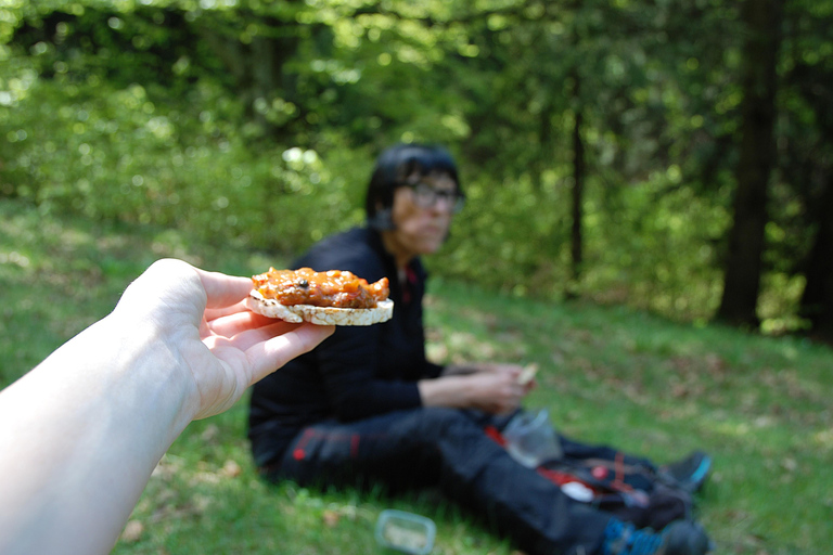 Poiana Brașov: setas silvestres y secretos del bosque