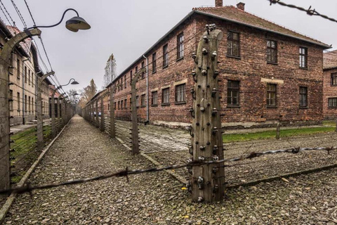 Från Krakow: Transport tur och retur till Auschwitz BirkenauSjälvstyrd guidad tur med broschyr på engelska