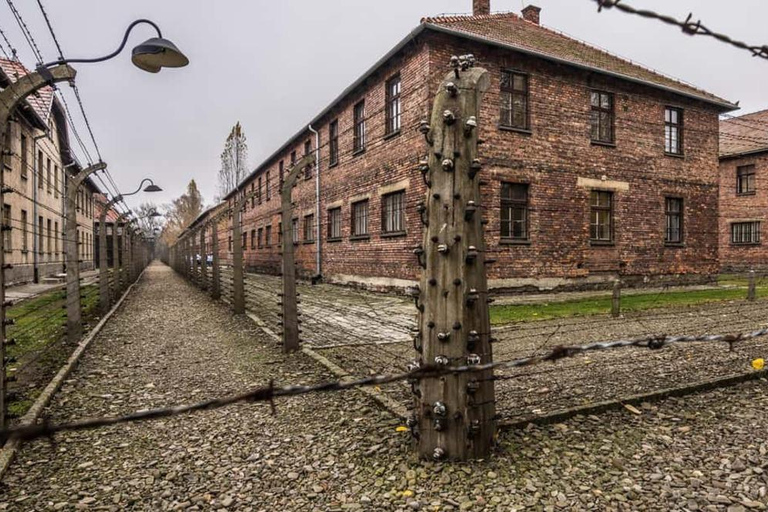 Från Krakow: Transport tur och retur till Auschwitz BirkenauSjälvstyrd guidad tur med broschyr på engelska