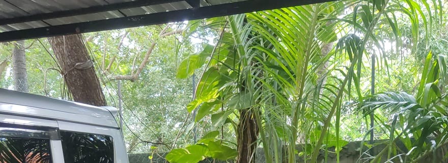 Jaffna : cours de cuisine tamoule avec des chefs locaux