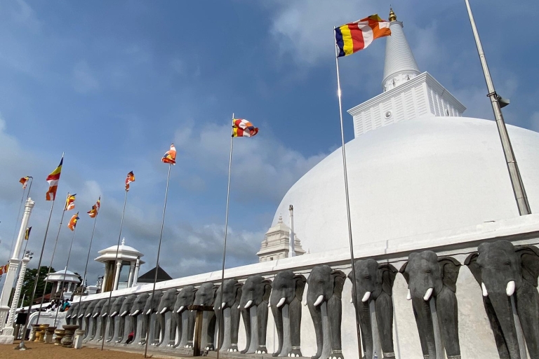 Anuradhapura Private Antike Stadt Tagestour