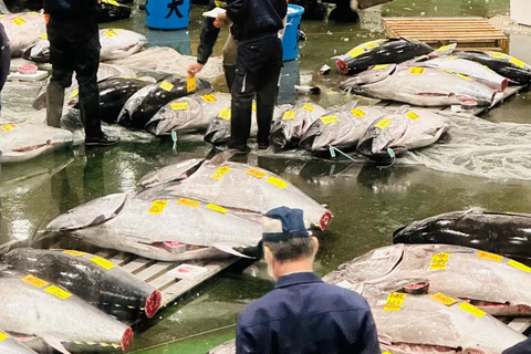 Tokyo: Toyosu Tuna Auction+Seafood Breakfast/Tsukiji Stroll Tuna Auction & Seafood Breakfast (with Meal)