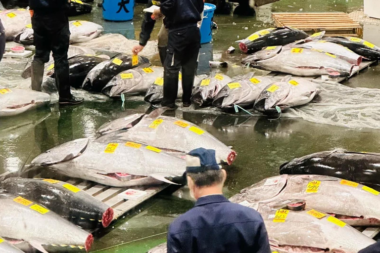 Tokyo: Toyosu Tuna Auction+Seafood Breakfast/Tsukiji Stroll Tuna Auction & Seafood Breakfast (with Meal)