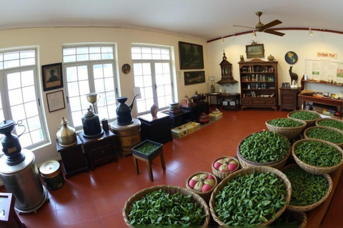 Kandy: Tea Museum, Temple, Bird Park & Dance Show Tour