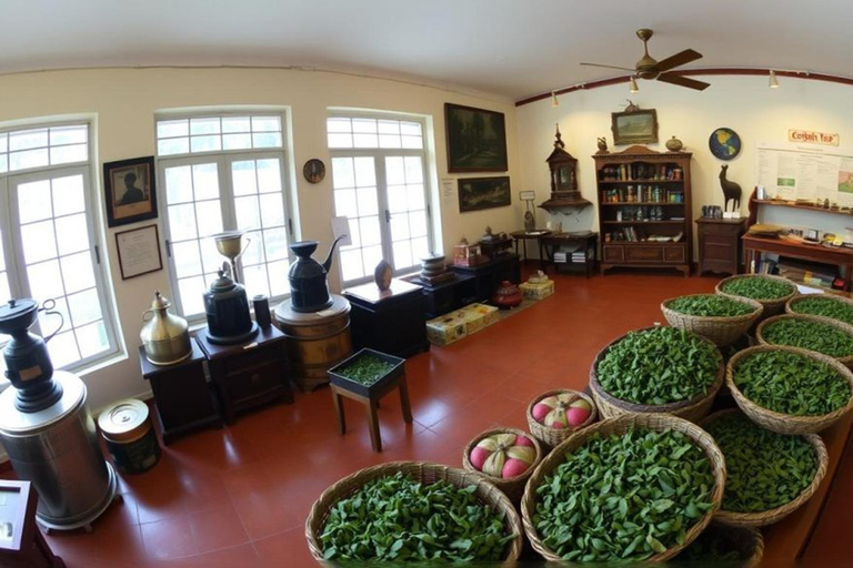 Kandy: Tea Museum, Temple, Bird Park & Dance Show Tour