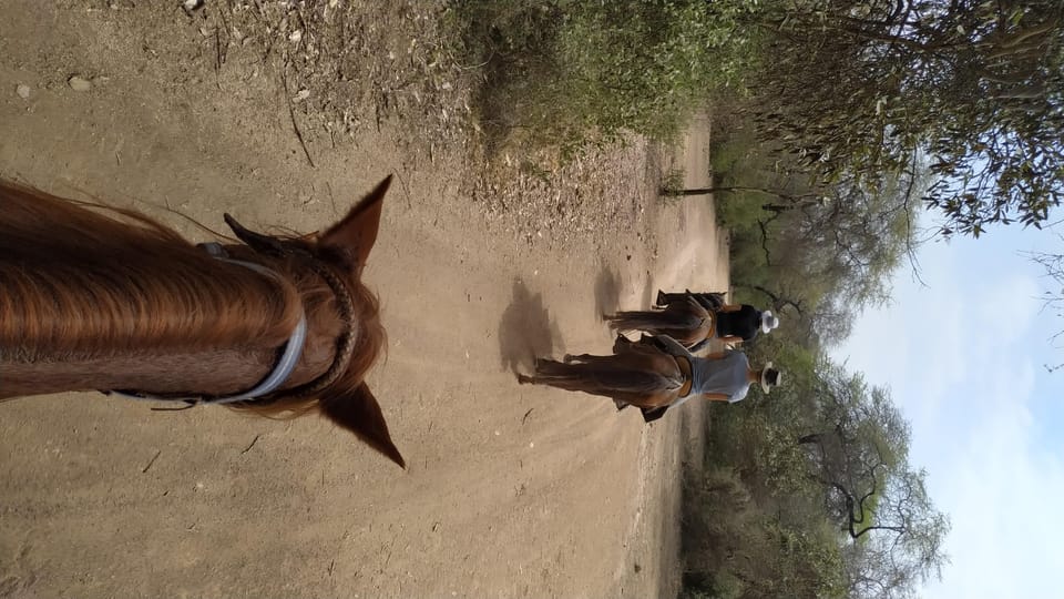 Perù ,, 4 ore a cavallo e antiche piramidi - Housity