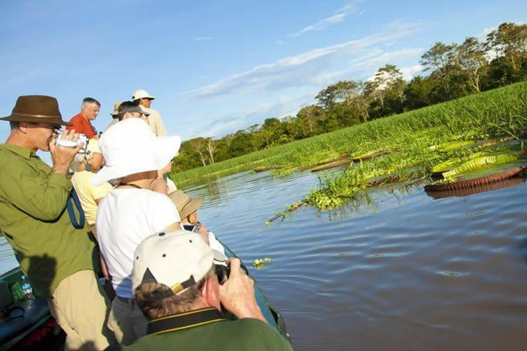 Iquitos : Excursion à Pacaya Samiria