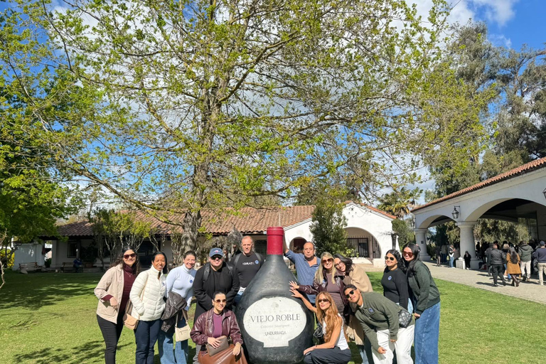 From Santiago: Undurraga Winery Tour & Wine Tasting