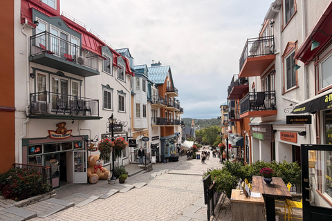 Mont-Tremblant: Private Day Trip with Treetop Walk & Gondola