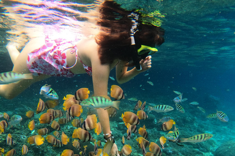 Bali/Nusa Penida: Private Snorkeling With Guide & West Tour Transfer from Sanur Area