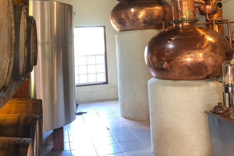 Paraty waterfalls and distilleries Jeep tour Paraty waterfalls and distilleries jeep tour