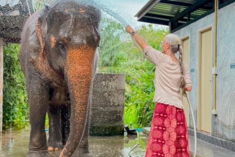 Koh Samui: tour locale unico e santuario degli elefanti con pranzo