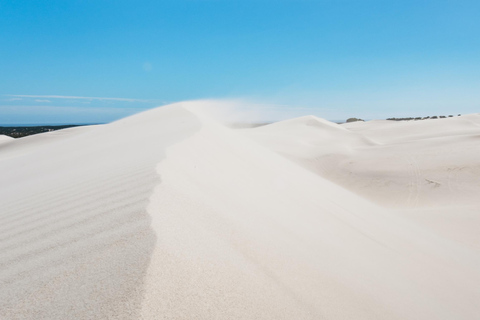 CIDADE DO CABO: AVENTURA DE SANDBOARD NAS DUNAS DE AREIA BRANCA DO ATLANTISCidade do Cabo: Aventura de sandboard nas dunas de areia branca do Atlantis