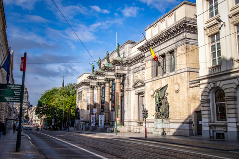 Brussels: Private Exclusive History Tour with a Local Expert 2 Hours - Private Tour