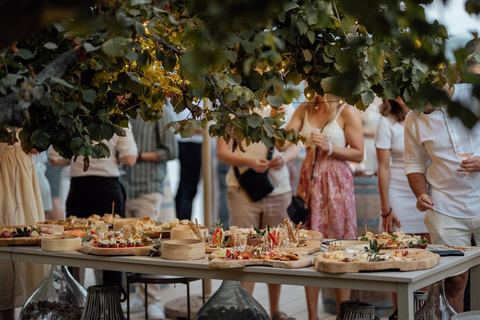 Kotor: Wine tasting & Lady of the Rocks speedboat getaway