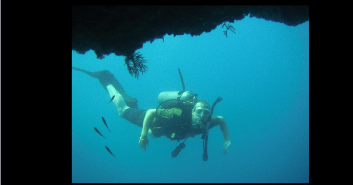 Puerto Vallarta El Chimo Scuba Diving Expedition GetYourGuide