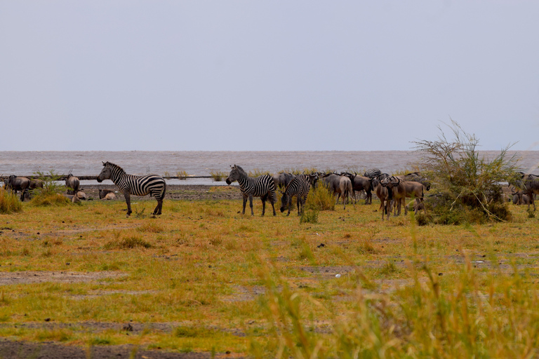 Viaggio di due giorni al Lago Manyara con canoa e passerella tra le cime degli alberiCampeggio a Karatu