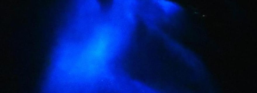 Visite nocturne avec masque et tuba à partir de la plage de Pochote