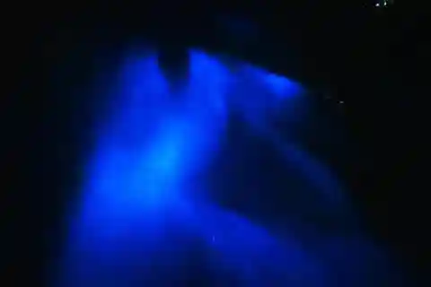 Bioluminescens kvällstur med snorkling från Pochote Beach