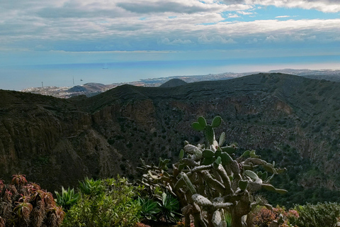 From Las Palmas: Half day tour Volcano Bandama & Vineyard