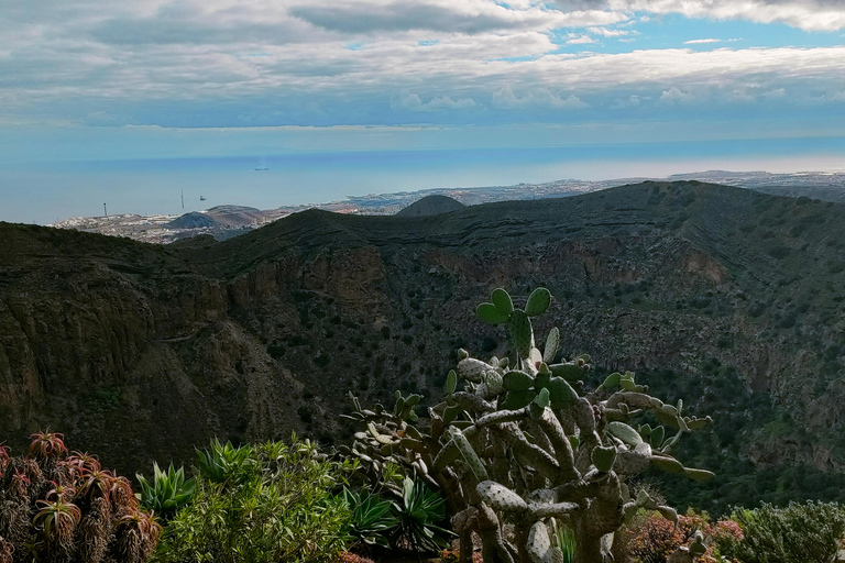From Las Palmas: Half day tour Volcano Bandama & Vineyard