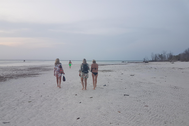 Dauphins +Forêt de Jozani+ Grotte de Kuza+Restaurant The Rock &amp; PajeDauphin +Forêt de Jozani+ Grotte de Kuza+Restaurant The Rock &amp; Paje