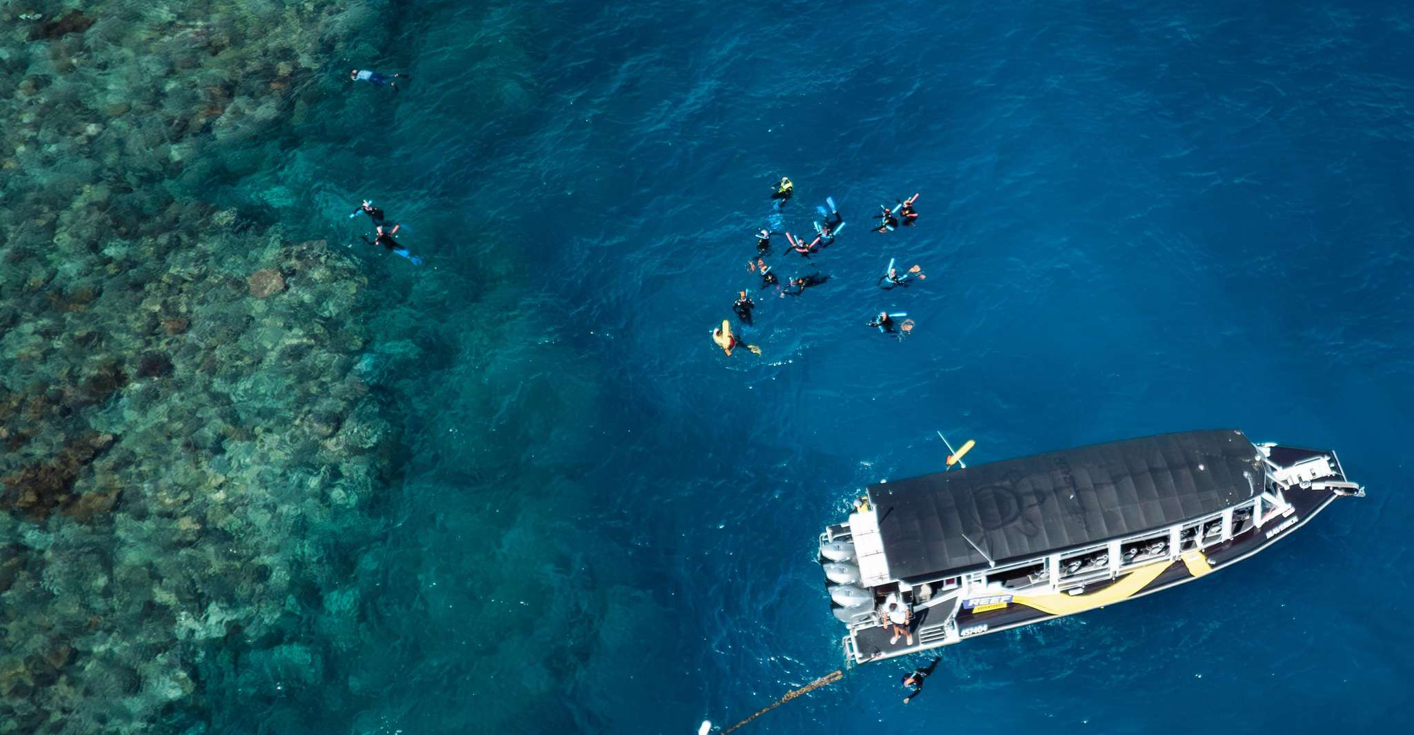 Great Barrier Reef Snorkel Cruise in Cairns, Australia