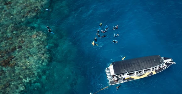 Cairns: Great Barrier Reef Half-Day Snorkelling Tour