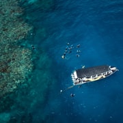 Cairns: Great Barrier Reef Half-Day Snorkelling Tour