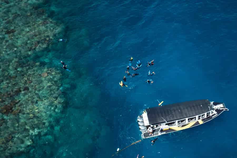 Von Cairns: Halbtägige Schnorcheltour zum Great Barrier Reef. Foto: GetYourGuide