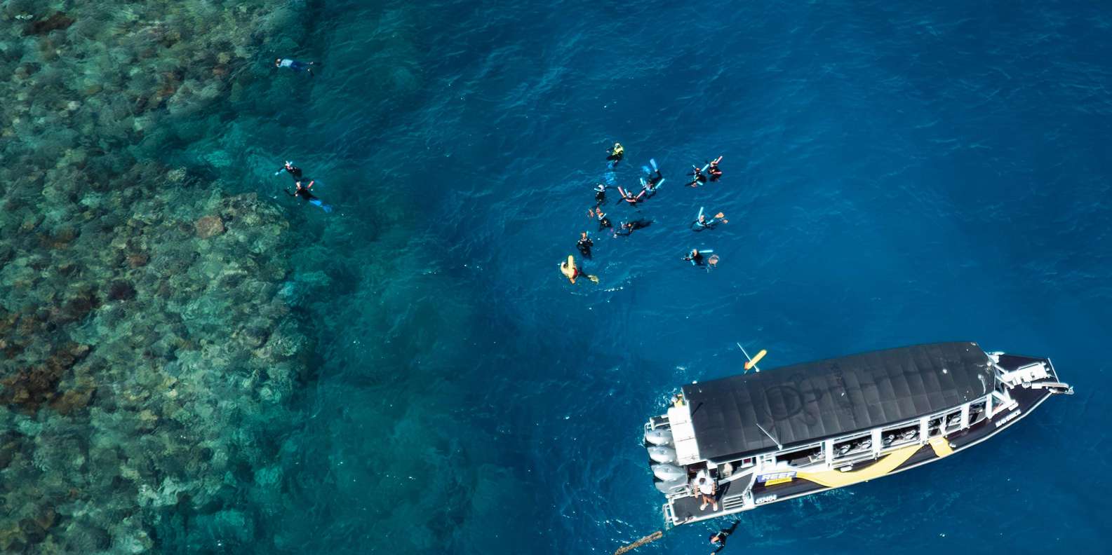 Cairns: Great Barrier Reef Half-Day Snorkelling Tour