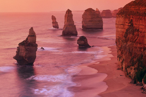 Melbourne: Twelve Apostles&Great Ocean Road,Find Koala Tour