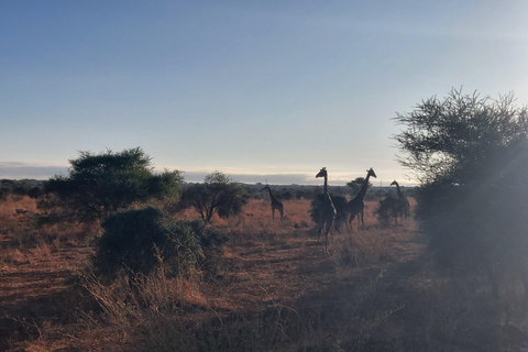 Red Elephants & Kilimanjaro Views: 3-day Tsavo East/Amboseli