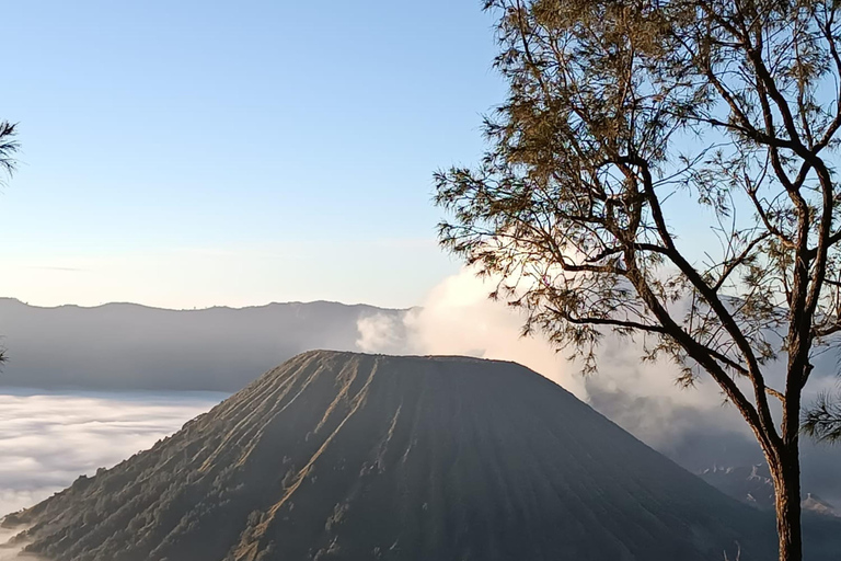 Madakaripura Wasserfall, Bromo Sonnenaufgang &amp; Ijen Krater (3D/2N)