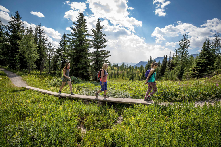 Banff: Spacer przyrodniczy z roślinami jadalnymi i leczniczymi