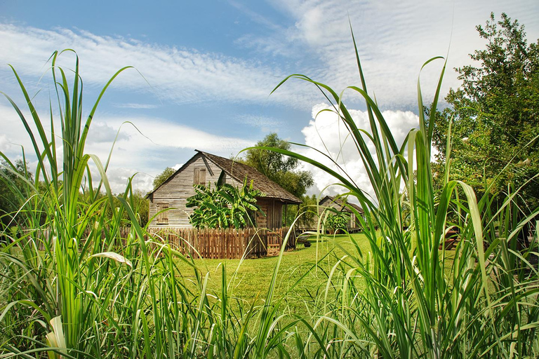 New Orleans: Swamp Boat Ride & Whitney Plantation Tour