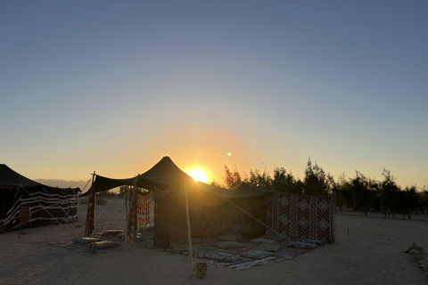 balade à dos de chameau avec coucher de soleil et observation des étoiles