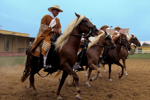 Trujillo: Chan Chan + Paseos a caballo + Huanchaco