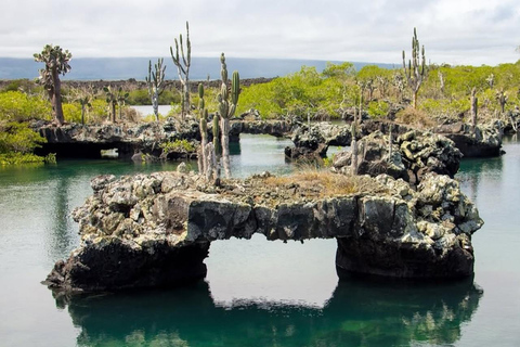 From Isabela Island: Tunnels Boat Tour and Snorkeling Trip