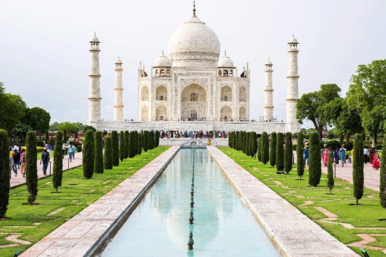 Desde Delhi:Excursión al Taj Mahal al amanecer con conservación en elefanteCoche único + Guía