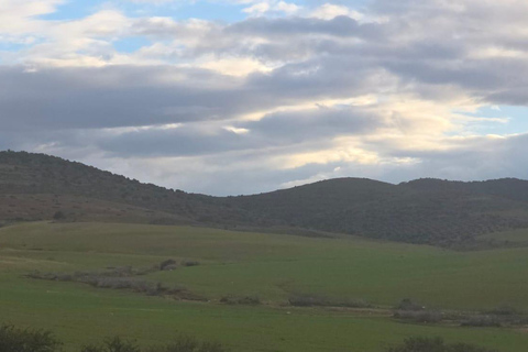 Departure from Sousse or Hammamet: Wine tasting - Uthina - Sidi Bou Saïd