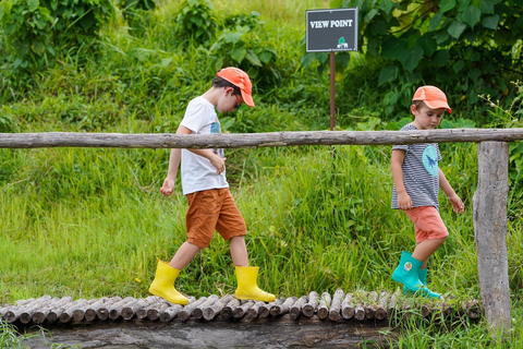 Phuket: Passeio e alimentação no parque natural de elefantes éticos