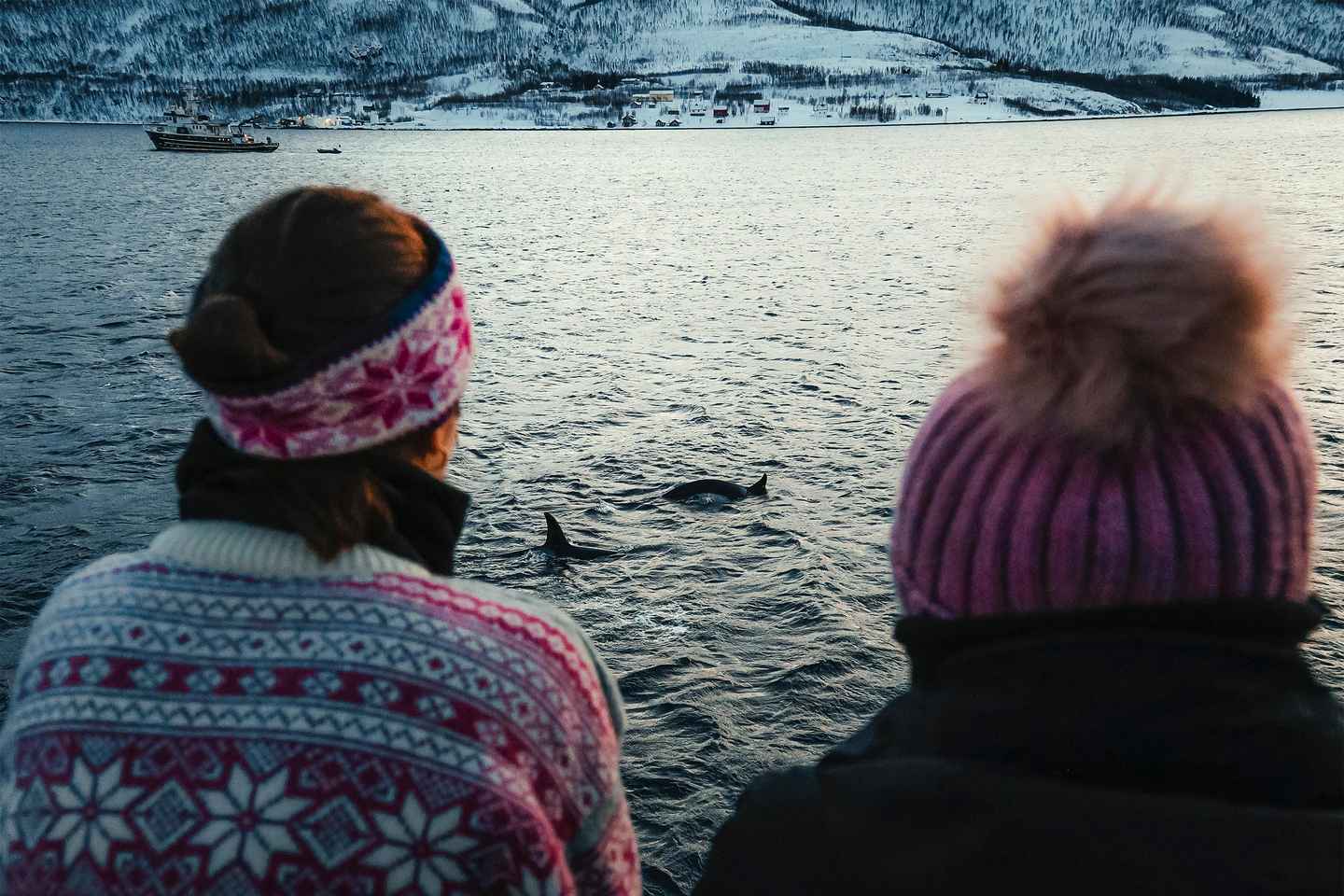 Tromsø: 24hr Northern Lights & Whale Watching Cruise