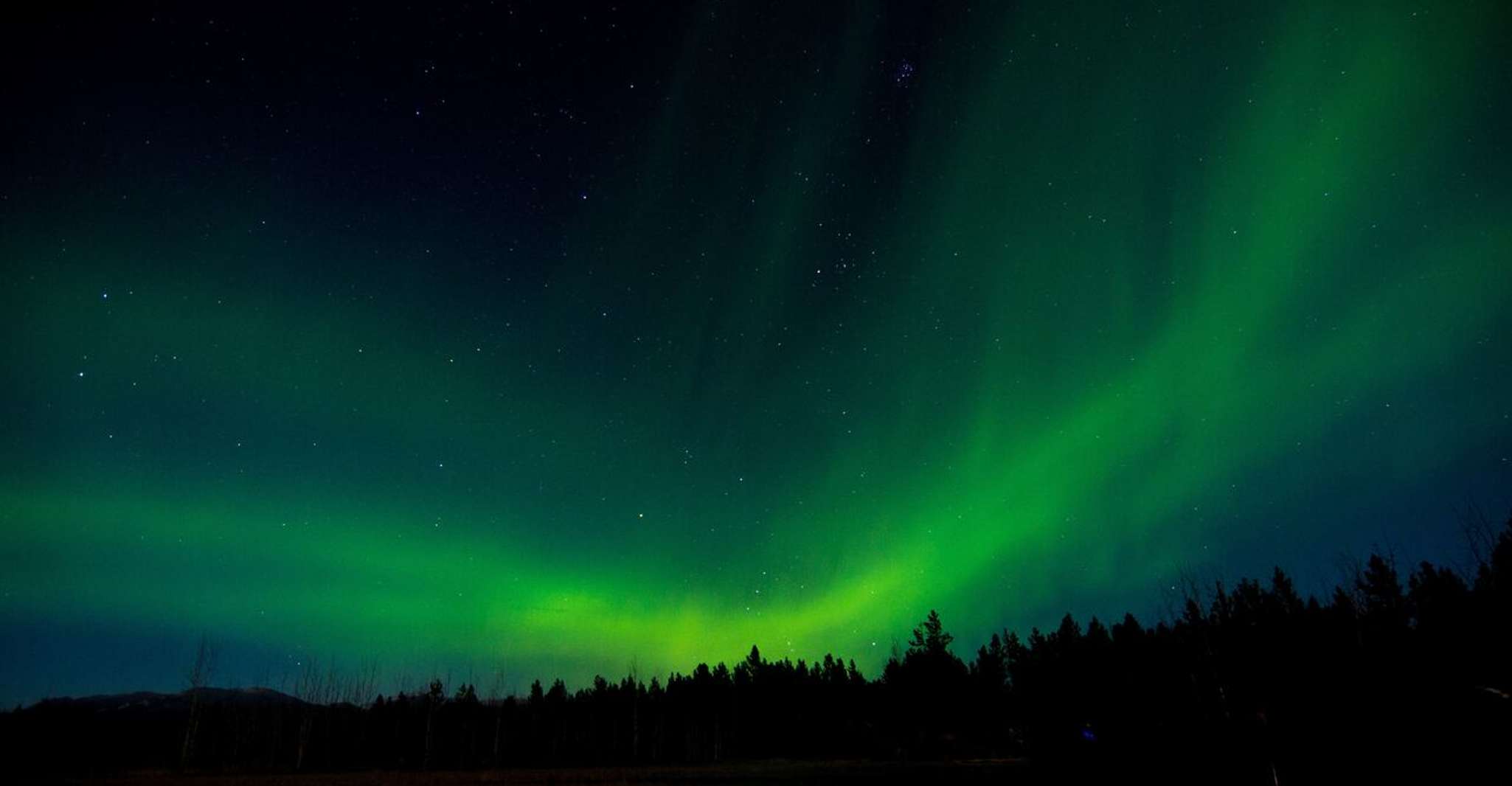 Aurora Borealis Quest, Private Yukon Nighttime Tour - Housity