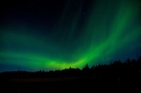 Aurora Borealis Quest, Private Yukon Nighttime Tour - Housity