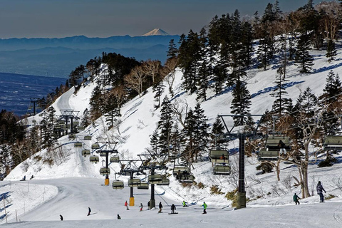 Depuis Tokyo : Excursion d'une journée au ski Kawaba avec équipement/vêtements de ski