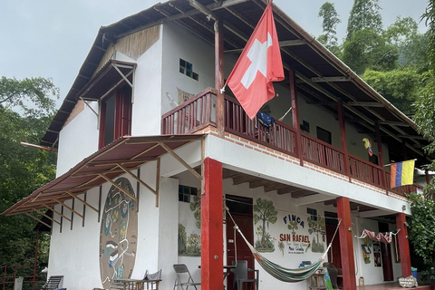 明卡：咖啡庄园与秘境瀑布之旅（含午餐）明卡：咖啡农场与秘境瀑布之旅（含午餐）