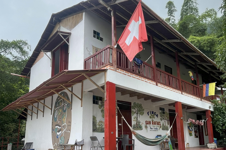 Minca: Coffee Farm and Hidden Waterfall Tour with Lunch