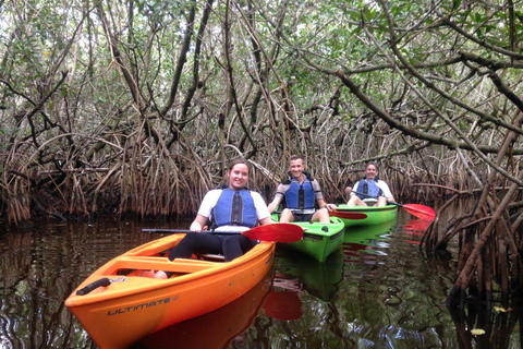 Everglades Kayak Safari Adventure Through Mangrove Tunnels