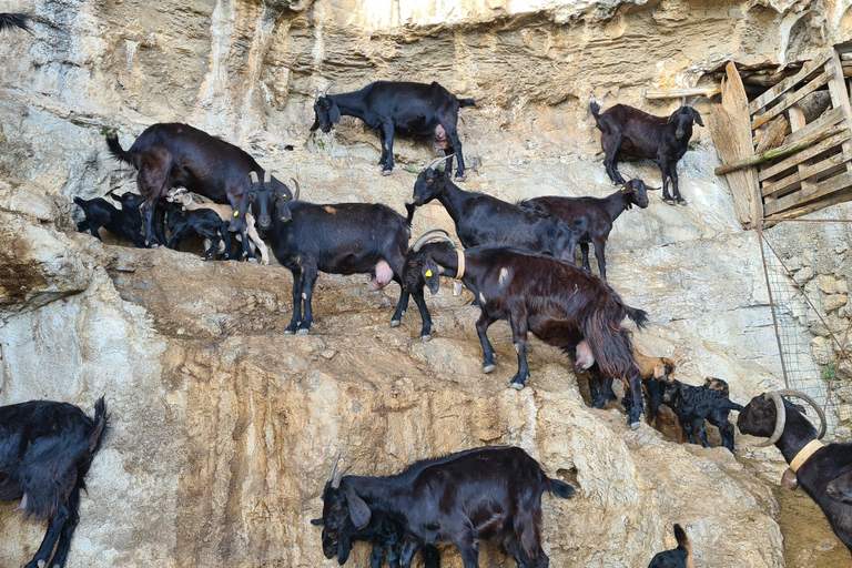 Amalfi Coast: Path of Gods Hike & Food at the Shepherd's Hut